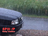 5P2I/P Image